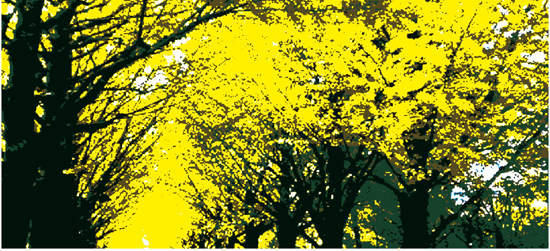 �����u�����̋�Ǖ���01�^�C���X�g